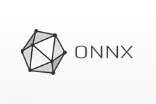 onnx